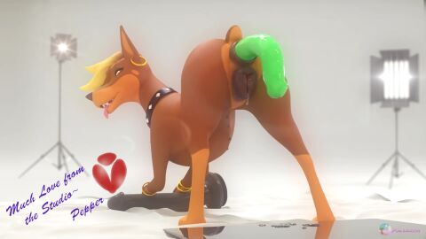 16:9 1girls 3d 3d_(artwork) ambiguous_fluids anal anal_masturbation anal_penetration anatomically_correct anatomically_correct_genitalia anatomically_correct_pussy animal_genitalia animal_pussy animated ass ass_up bedroom_eyes black_dildo blonde_hair bodily_fluids brown_body brown_fur brown_nose canid canine canine_pussy canis cum cum_string dangling digital_media_(artwork) dildo dildo_in_ass dildo_insertion dildo_shitting dobermann domestic_dog ear_piercing ear_ring english_text female female_dog female_only feral feral_penetrated fur genital_fluids genitals green_dildo hair halbean happy hi_res kiss_mark large_penetration lipstick loop makeup mammal masturbation mp4 multicolored_body multicolored_fur narrowed_eyes object_insertion penetration pepper_(halbean) piercing pinklagoon pinscher presenting presenting_hindquarters pussy pussy_juice seductive sex_toy sex_toy_in_ass sex_toy_insertion short_playtime simple_background smile smiling_at_viewer solo solo_female sound stretched_anus stretching teats text tongue tongue_out two-tone_body two-tone_fur video webm white_background widescreen zoophilia