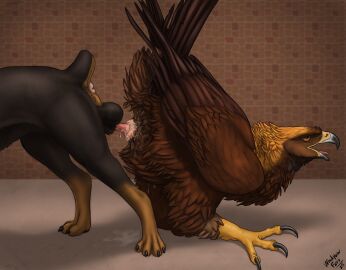 absurd_res accipitrid accipitriform anatomically_correct animal_genitalia anus ass ass_to_ass ass_up avian balls beak bird bodily_fluids brown_body brown_feathers canid canine canis claws cloaca cloacal cloacal_knotting cloacal_penetration cum domestic_dog eagle feathered_wings feathers feral feral_on_feral ferobird genital_fluids genitals golden_eagle hi_res interspecies knot_bulge knot_tugging knotting male male/male mammal mastiff molosser penetration raised_tail realistic_feral rottweiler sawyer_(ferobird) scuted_legs scutes sex tail tail_feathers toe_claws true_eagle windpaw wings