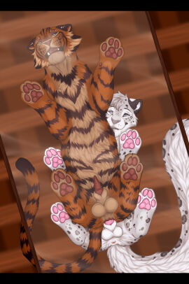 anal anal_sex anatomically_correct anatomically_correct_genitalia animal_genitalia animal_penis anus aroused ass ass_up balls blue_eyes breath digital_drawing_(artwork) digital_media_(artwork) duo erection fangs felid feline_genitalia feline_penis feral feral_on_feral feral_penetrated feral_penetrating feral_penetrating_feral fluffy fluffy_tail from_behind_position fur furniture genitals glass_table hi_res inside kazik_feral looking_at_another looking_pleasured low-angle_view male male/male male_penetrated male_penetrating male_penetrating_male mammal markings mounting narrowed_eyes on_table open_mouth orange_body orange_fur pantherine pawpads paws penetration penile_spines penis sex sheath smile snow_leopard spots spotted_body spotted_fur striped_body striped_fur stripes table tail tail_aside teeth tiger tongue warmpawsart white_body white_fur worm's-eye_view