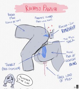 1boy 1girls 2d anal anal_insertion anal_penetration anilingus arrow_(symbol) balls big_breasts breasts chart cum cum_between_breasts cumming educational female female_rimming_male flat_colors guide hi_res incorrect_anatomy instructions inverted_paizuri label labels large_breasts male oral original_character paizuri penis prostate prostate_stimulation reference_sheet reverse_paizuri reverse_titfuck rimjob rimming rimming_male rimzuri sketch sketch_page standing_anilingus takyzen testicles text tongue_in_anus traditional_media_(artwork) tutorial x-ray