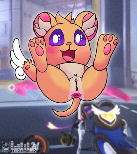 anus ass cricetid ear_fur eleos_(overwatch) feathered_wings feathers female feral fur genitals hamster hi_res mammal overwatch pawpads paws presenting pussy rodent solo teknomekanoid wings yellow_body yellow_fur