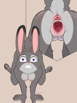 all_fours anthro anus ass blush body_blush breast_blush breasts cervix cervix_view clenched_teeth clitoral_hood clitoris countershade_torso countershading dipstick_ears disney doggy_style ear_markings ears_up erect_nipples female female_urethra from_behind_(disambiguation) from_behind_position front_view gaping gaping_vagina genitals hand_on_leg hi_res humanoid_genitalia humanoid_vulva hyginx judy_hopps multicolored_ears nipples pannel penetration pupils purple_eyes questionable_consent raised_tail rear_view scut_tail sex short_tail small_pupils spread_anus spread_legs spread_vulva spreading stretched stretched_pussy tail teeth translucent_penetration urethra vaginal_canal vaginal_penetration vulva vulva_blush wide_eyed wide_hips zootopia