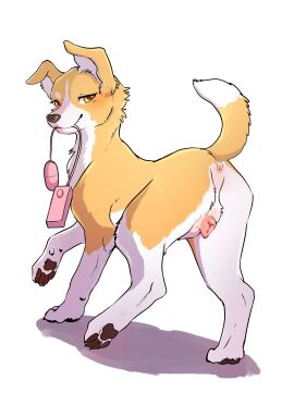 2025 absurd_res anatomically_correct anatomically_correct_genitalia anatomically_correct_pussy anatomically_correct_vulva animal_genitalia animal_pussy animal_vulva anus azu_(momou_fox) bedroom_eyes black_nose brown_pawpads button_ears canid canine canine_genitalia canine_pussy canine_vulva canis digital_media_(artwork) dipstick_tail domestic_dog egg_vibrator eyelashes facial_markings female feral floppy_ears fluffy fluffy_tail fur genitals head_markings hi_res holding_object holding_sex_toy holding_vibrator looking_at_viewer looking_back looking_back_at_viewer mammal markings momou narrowed_eyes object_in_mouth orange_body orange_ears orange_fur orange_tail pawpads pink_anus pink_vulva presenting presenting_pussy presenting_vulva pussy quadruped raised_arm raised_leg seductive sex_toy snout solo tail tail_markings three-quarter_view vibrator vulva white_body white_fur white_inner_ear white_tail_tip yellow_eyes