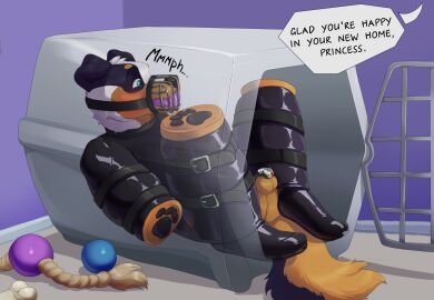 anthro balls bitchsuit bondage bondage_gear border_collie bound cage caged canid canine canis chastity_cage chastity_device collar collie crazydonkey dialogue dildo_in_mouth dog_toy domestic_dog ellipsis english_text fur gag gagged genitals herding_dog hi_res latex lying male mammal multicolored_body muzzle_(object) muzzled offscreen_character on_back oral oral_penetration pastoral_dog penetration penis pet_carrier petplay pinereese puppyplay roleplay rope sex_toy sex_toy_in_mouth sex_toy_insertion sheepdog solo speech_bubble submissive submissive_male tail text