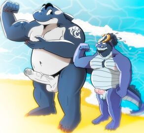 anthro anthro_on_anthro balls bara beach belly big_belly big_moobs blurred_background cetacean circumcised claws digital_media_(artwork) dragon duo erection facial_hair genitals glans hair hi_res horn humanoid_genitalia humanoid_penis humor male male/male mammal marine moobs muscular mythological_creature mythological_scalie mythology nipples nude overweight overweight_anthro overweight_male penile penis scalie size_difference smile tail thiagoefrancesco toothed_whale water whale yaoi