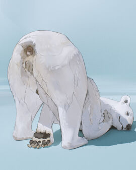 5_toes adversarial_noise anatomically_correct anatomically_correct_anus anatomically_correct_genitalia anatomically_correct_pussy animal_genitalia animal_pussy anus ass ass_focus ass_up bear bedroom_eyes bent_over big_anus big_ass big_butt black_claws black_lips black_nipples black_nose black_pawpads blue_background butt_focus claws cosmiclife digital_drawing_(artwork) digital_media_(artwork) feet female feral full-length_portrait fur gaping genitals grey_anus grey_eyes hi_res hindpaw inviting lips looking_at_viewer looking_back looking_back_at_viewer lying mammal monotone_body monotone_fur narrowed_eyes nipples on_front pawpads paws pink_anus pink_inner_pussy pinup polar_bear portrait pose presenting presenting_anus presenting_hindquarters presenting_pussy pussy quadruped raised_tail rear_view seductive short_tail simple_background soles solo tail tail_anus toe_claws toes two-tone_pussy ursine ursine_pussy white_body white_fur white_pussy