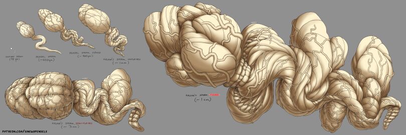 2d chart digital_media grey_background hyper hyper_sperm kelvin_(sinewypendels) male muscular no_humans non-human non-human_only simple_background sinewypendels sperm_cell what