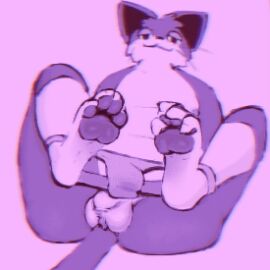 animal_crossing anthro balls balls_tuft clothing clothing_around_legs domestic_cat feet felid feline felis genitals legs_up looking_at_viewer male mammal miii_cho nintendo pawpads paws punchy_(animal_crossing) sitting solo tail tuft underwear underwear_around_legs