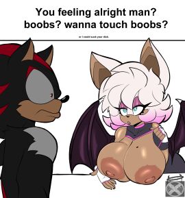1boy 1girls anthro areolae bat big_breasts boobs?_wanna_touch_boobs? breasts breasts_out busty caption chiropteran cross_samax female hedgehog huge_breasts large_breasts male meme meme_caption nipples png rouge_the_bat shadow_the_hedgehog sonic_(series) sonic_the_hedgehog_(series) wings
