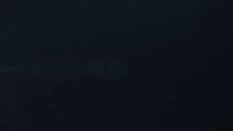 big_breasts horse skyrim skyrim4ever sound tagme video