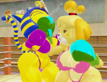 2girls 3d 3d_(artwork) animal_crossing ankha ankha_(animal_crossing) anthro anthro_only big_breasts big_thighs blue_eyes blue_hair boxing boxing_gloves boxing_ring bra breasts cat catfight cleavage closed_eyes curvy dog doubutsu_no_mori duo female female_focus female_only fight fighting fighting_ring furry gloves green_boxing_gloves green_gloves gym half-closed_eyes huge_breasts indoors isabelle_(animal_crossing) josugomezofficialnew kabalmystic_(style) large_breasts lingerie long_tail nairu_(doubutsu_no_mori) nintendo open_mouth pink_bra pink_lingerie pink_thong punch punching purple_boxing_gloves purple_gloves ryona saliva tail thick thick_thighs thighs uppercut wide_hips yellow_hair