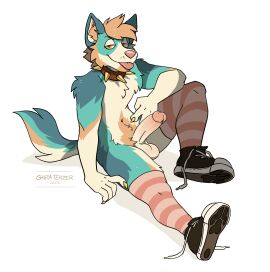 absurd_res anthro balls blep blonde_hair blue_body blue_fur canid canine circumcised claws clothed clothing collar erection footwear fur genitals gesture gold_claws hair half-closed_eyes hand_gesture hi_res humanoid_genitalia humanoid_penis kai_(infoxicated) laws legwear looking_at_viewer male mammal multicolored_body multicolored_fur narrowed_eyes paw_shoes penis pink_nose shira_tekzer shoelaces shoelaces_untied shoes simple_background sitting smile solo spiked_collar spikes teal_body teal_fur tongue tongue_out unnatural_colors v_sign yellow_eyes