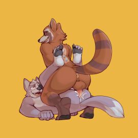 1:1 anal anal_sex anthro anus ass balls bodily_fluids canid canine canis cum cum_in_ass cum_inside duo eye_patch eyewear from_front_position gay gay_sex genital_fluids genitals guardians_of_the_galaxy hi_res jrjresq male male/male mammal marvel marvel_comics mating_press nintendo nude penetration penis procyonid raccoon rocket_raccoon sex simple_background star_fox tail wolf wolf_o'donnell