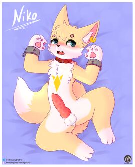 absurd_res anthro balls bed blush canid canine chains collar cuff_(restraint) ear_piercing fox furniture genitals hi_res knot lying male mammal open_mouth penis piercing restraints senz shackles solo tail text