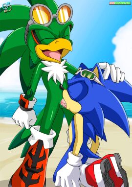 cum fellatio gay jet_the_hawk male palcomix penis rear_deliveries sonic_(series) sonic_the_hedgehog sonic_the_hedgehog_(series) tagme yaoi
