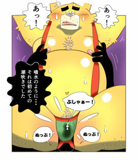 Image: 3772612