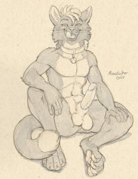 anthro balls bell bell_collar collar domestic_cat erection felid feline felis furry genitals hi_res humanoid_genitalia humanoid_penis licking licking_lips looking_at_viewer male mammal monochrome non-human_only pawpads penis richard_foley sepia sitting skinny tongue whiskers