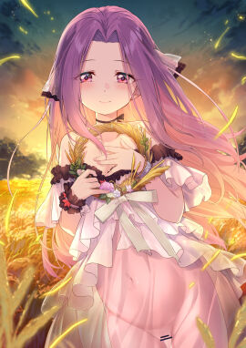 1girls absurdres bare_shoulders blue_sky breasts censored choker coffeekite dress fate/grand_order fate_(series) female female_only forehead gradient_sky hair_ribbon highres long_hair looking_at_viewer medusa_(fate) medusa_(lancer)_(fate) navel off_shoulder orange_sky parted_bangs pregnant public_domain purple_eyes purple_hair pussy ribbon see-through_clothes see-through_dress sidelocks sky small_breasts smile solo twilight very_long_hair white_dress wreath