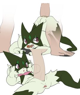 anal animated anthro bodily_fluids cervikalova disembodied_penis doggy_style duo female from_behind_position from_front_position game_freak generation_9_pokemon human interspecies loop lying male male/female mammal meowscarada missionary_position nintendo on_back penetration penis pokemon pokemon_(species) pussy sex short_animation short_playtime vaginal_penetration