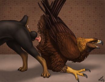 absurd_res accipitrid accipitriform anatomically_correct animal_genitalia anus ass ass_to_ass ass_up avian balls beak bird brown_body brown_feathers canid canine canis claws cloaca cloacal cloacal_knotting cloacal_penetration domestic_dog eagle feathered_wings feathers feral feral_on_feral ferobird genitals golden_eagle hi_res interspecies knot_bulge knot_tugging knotting male male/male mammal mastiff molosser penetration raised_tail realistic_feral rottweiler sawyer_(ferobird) scuted_legs scutes sex tail tail_feathers toe_claws true_eagle windpaw wings