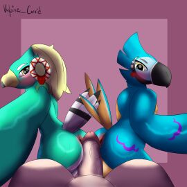 absurd_res amali_(tloz) anthro anus ass avian balls bisexual blush bodily_fluids breath_of_the_wild collaborative collaborative_hot_dogging collaborative_sex female gay genitals group hi_res hot_dogging human kass_(tloz) kass_(zelda) male male/female male/male mammal nintendo rito sex sweat sweaty_ass sweaty_butt the_legend_of_zelda trio vulpine_corvid