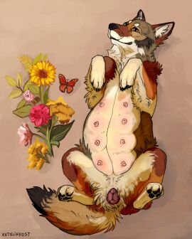 animal_genitalia animal_pussy canid canine canine_genitalia canine_pussy canis coyote domestic_dog female feral flower genitals hi_res kutsiihvost lying mammal nipples non-human_areolae on_back plant pregnant pregnant_female pregnant_feral pussy solo teats wolf