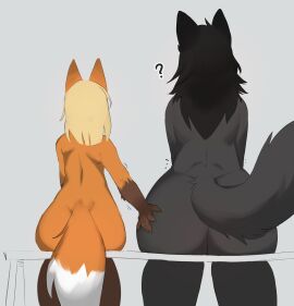 2girls ass black_fur female fox furry furry_ass furry_ears furry_female furry_only furry_tail jenna_(daukus) lichee lucy_(daukus) orange_fur sitting touching_ass