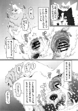 Image: 1011879