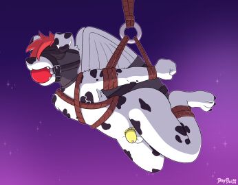 absurd_res anthro armbinder arms_tied ball_gag binder_(restraint) blindfold bondage bondage_gear bound canid canine canis chastity_cage chastity_device davyboi domestic_dog gag gagged headgear hi_res legs_tied male mammal restraints rope rope_bondage rope_harness solo suspension suspension_bondage wings wings_tied