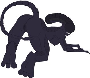 3_toes alien alien_(franchise) alien_girl all_fours anus ass ass_up ben300 bent_over better_version_at_source breasts feet female female_xenomorph flat_colors genitals looking_at_viewer looking_back looking_back_at_viewer nipples nude presenting presenting_hindquarters pussy rear_view side_boob solo toes xenomorph