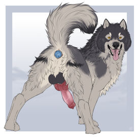 anal anal_plug anal_sex anatomically_correct anatomically_correct_genitalia anatomically_correct_penis animal_genitalia animal_penis anus ass backsack balls ballsack black_balls black_body black_fur black_nose breath buttplug buttplug_in_ass buttplug_insertion canid canine canine_genitalia canine_penis canis claws digitigrade domestic_dog dorosheva-e erection fangs feral feral_only feral_penetrated fluffy fluffy_tail fur gem genitals grey_body grey_fur hi_res jewel_buttplug knot looking_at_viewer looking_back looking_back_at_viewer male male_only mammal multicolored_body multicolored_fur object_in_ass open_mouth panting penetration penis perineum plug_(sex_toy) plug_insertion presenting presenting_hindquarters presenting_penis quadruped raised_tail rear_view sex_toy sex_toy_in_ass sex_toy_insertion simple_background smile solo tail teeth tongue tongue_out white_body white_fur wolf yellow_eyes