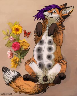 animal_genitalia animal_pussy canid canine canine_genitalia canine_pussy canis domestic_dog female feral flower genitals hi_res kutsiihvost lying mammal nipples non-human_areolae on_back plant pregnant pregnant_female pregnant_feral pussy solo teats wolf