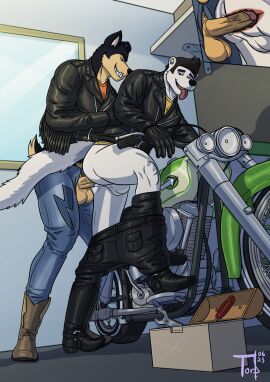 2023 anal anal_sex anthro anthro_on_anthro anthro_penetrated anthro_penetrating anthro_penetrating_anthro ass backsack balls balls_through_fly ballsack belt belt_buckle biped black_body black_boots black_bottomwear black_clothing black_footwear black_fur black_gloves black_hair black_handwear black_jacket black_nose black_pants black_topwear blue_bottomwear blue_clothing blue_jeans blue_pants blue_sky boots bottomwear bottomwear_down brown_boots brown_clothing brown_footwear buddy_thunderstruck_(character) buddy_thunderstruck_(series) canid canine canis clothed clothed_anthro clothed_male clothed_sex clothing concrete_floor countershade_fur countershade_snout countershading cutaway darnell_(buddy_thunderstruck) denim denim_bottomwear denim_clothing domestic_dog domestic_ferret duo erection eyebrows floppy_ears footwear from_behind_position fur garage gay gay_anal gay_sex genitals glans gloves grey_floor grey_wall hair handwear happy happy_sex hi_res humanoid_genitalia humanoid_penis hunting_dog inside internal internal_anal interspecies jacket jeans leather leather_boots leather_bottomwear leather_clothing leather_footwear leather_gloves leather_handwear leather_jacket leather_pants leather_topwear lightning_bolt long_tail looking_at_another looking_back looking_back_at_another looking_back_at_partner male male/male male_penetrated male_penetrating male_penetrating_male mammal mechanic motorcycle mustelid musteline orange_clothing orange_shirt orange_topwear pants pants_down partially_clothed penetration penile penile_penetration penis penis_in_ass penis_through_fly perineum pink_glans pink_tongue poking_out pompadour rat_terrier screwdriver sex shelf shirt short_tail side_butt side_view signature sky smile snaggle_tooth snout standing_doggystyle step_pose tail tan_balls tan_body tan_fur tan_penis terrier tongue tongue_out toolbox tools topwear torrosketch true_musteline vehicle vein veiny_penis weasel white_balls white_body white_fur white_perineum white_wall window wrench yellow_clothing yellow_shirt yellow_topwear