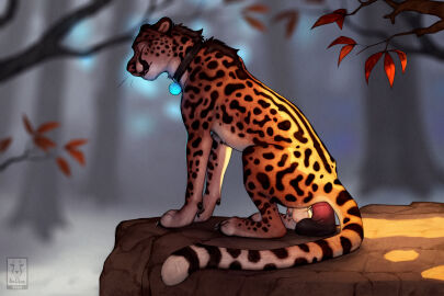 2024 absurd_res anal anal_sex anatomically_correct anatomically_correct_genitalia anchee animal_dildo animal_genitalia animal_sex_toy anus ass balls bodily_fluids cheetah claws closed_eyes collar collar_only digital_media_(artwork) dildo dildo_in_ass dildo_insertion dildo_sitting equine_dildo fangs felid feline feline_genitalia feral fur genital_fluids genitals hi_res looking_pleasured male mammal markings nature nude object_in_ass open_mouth outside paws penetration penis penis_tip plant precum rock sex_toy sex_toy_in_ass sex_toy_insertion sheath signature sitting smile solo spots spotted_body spotted_fur tail teeth tight_fit tongue tree whiskers