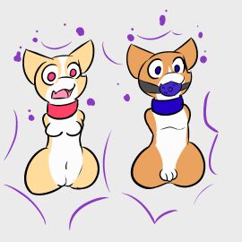 amputee anthro ball_gag bondage bound canid canine canis disability domestic_dog duo female gag herding_dog hi_res living_onahole male malesub mammal nubless_amputee pastoral_dog penetrable_sex_toy sex_toy sleepyly submissive_male surprise transformation welsh_corgi