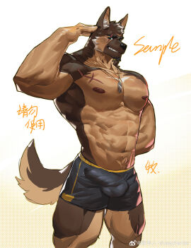 2024 3rd_party_watermark abs absurd_res anthro areola balls balls_outline belly_tuft black_bottomwear black_clothing black_shorts bodily_fluids bottomwear brown_areola brown_body brown_fur brown_nipples bulge canid canine canis chest_scar chinese_text clothing detailed_bulge dog_tags domestic_dog dripping erection facial_markings facial_scar fur genital_fluids genital_outline german_shepherd gesture green_eyes head_markings head_tuft herding_dog hi_res male mammal markings muscular muscular_male muyu824127 navel nipples pastoral_dog pecs penis penis_outline precum precum_drip precum_through_clothing salute scar sharp_teeth shorts simple_background snout solo sweat sweatdrop tail tail_tuft tan_body tan_fur teeth text tuft watermark weibo wet wet_clothing white_background