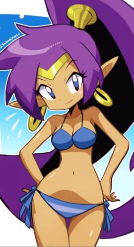 1girls big_breasts bikini breasts female female_only long_hair purple_hair shantae shantae:_half-genie_hero shantae_(character) solo source_removed