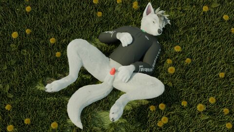 3d animal_genitalia animal_penis anthro balls bottomless canid canine canine_genitalia canine_penis canis clothed clothing collar dandelion digital_media_(artwork) digitigrade flower fox_the_hyena fur genitals grass grey_hair hair hi_res high-angle_view hoodie hoodie_only looking_at_viewer lying male mammal mediastinum nature nature_background on_back outside penis penis_tip plant presenting presenting_balls presenting_penis solo spread_legs spreading topwear topwear_only wearing_clothing_character white_body white_fur wolf