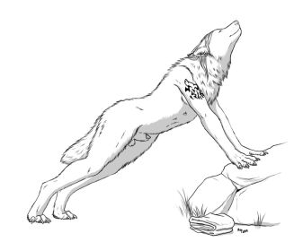 4_toes 5_fingers after_transformation animal_genitalia animal_penis anthro arched_back arm_tattoo athletic athletic_anthro athletic_male balls canid canine canine_genitalia canine_penis claws closed_eyes clothing dariuswhitefur digitigrade discarded_clothing ears_back feet finger_claws fingers fluffy fluffy_tail folded_clothing fur genitals grass hair hand_on_rock happy head_back line_art long_hair male mammal mane monochrome myenia mythological_canine mythological_creature mythology neck_tuft nipples nude pawpads paws penis penis_tip pivoted_ears plant post-transformation rock shaded sheath shoulder_tattoo signature simple_background simple_shading smile solo standing stretching tail tattoo toe_claws toes transformation tribal tribal_tattoo tuft were werecanid werecanine werewolf whisker_spots white_background