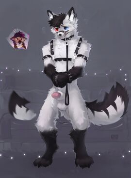absurd_res alikars anthro arctic_fox bound canid canine canis collar domestic_dog fox genitals german_shepherd half-erect hands_tied herding_dog hi_res kuro_scavendrul leash male mammal muzzle_(object) muzzled pastoral_dog penis solo tail tail_motion tailwag true_fox
