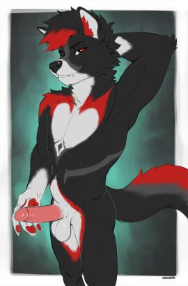 anthro athletic balls black_eyes bodily_fluids canid canine canis fur genital_fluids genitals grey_body grey_fur hair humanoid humanoid_genitalia humanoid_penis leaking_precum looking_at_viewer male mammal markings oreobird pawpads penis precum pupils red_body red_fur red_hair red_markings red_pawpads red_pupils solo white_body white_fur wolf