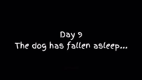anthro anthro_only ass big_ass big_butt fart fart_fetish farting furry furry_only giant hyper_fart hyper_farting lying lying_on_stomach no_visible_genitalia sleeping sleeping_while_farting tagme video wolf