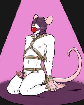 accessory anthro ball_gag biscuit_(biscuits) black_background bondage bound cock_ring cock_ring_vibrator collar erection femboy fur gag gagged genitals gimp_mask hi_res humanoid_genitalia humanoid_penis jewelry kneeling lady_snakebite male mammal mask mouse murid murine nipples nude_anthro nude_male penis penis_accessory penis_jewelry pink_background restraints ring_vibrator rodent rope rope_bondage rope_harness sex_toy simple_background slim slim_anthro slim_male solo submissive submissive_anthro submissive_male vibrating_cock_ring vibrator white_body white_fur