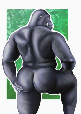 ass ass_focus back_muscles back_view bara big_ass big_ass_(male) big_muscles black_body black_fur bulky daddy gay gorilla hunk male muscles muscular muscular_anthro muscular_male solo solo_male yaoi