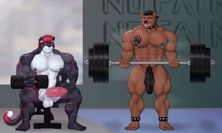 5_fingers abs accessory anthro areola balls barbell bear biceps big_muscles biped black_clothing black_eyebrows black_hair black_hat black_headwear black_nose bodily_fluids brown_areola brown_balls brown_body brown_eyes brown_nipples brown_penis chest_tattoo clothing collar digital_media_(artwork) dipstick_tail dumbbell duo erection exercise eyebrows feet felid feline fingers flaccid footprint fur genital_fluids genitals glans grey_body grey_fur grey_tail gym hair hat headband headgear headwear hi_res holding_object holding_weights humanoid_genitalia humanoid_penis inside looking_at_viewer male mammal markings matchykiwaii muscles muscular muscular_anthro muscular_calves muscular_male muscular_thighs navel nipple_piercing nipples nude pantherine pawprint pawprint_tattoo pecs penis piercing pink_glans pink_penis precum red_eyes red_hair red_markings red_stripes saggy_balls smile spiked_collar spikes standing striped_markings striped_tail stripes tail tail_markings tattoo teeth thick_thighs toes weightlifting weights white_balls white_body white_headband workout