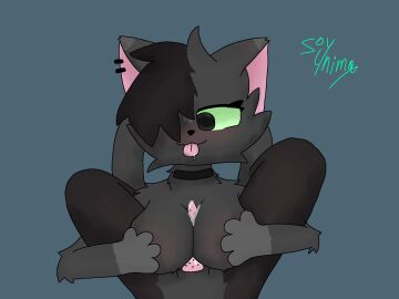 black_body black_eyes black_fur black_nose breast_grab breast_play breasts brother brother_(lore) brother_and_sister_(lore) brother_penetrating_sister domestic_cat duo ear_piercing felid feline felis female fur furry furry_breasts furry_ears furry_female furry_focus furry_only green_eyes grey_body grey_fur hand_on_breast hi_res humanoid incest_(lore) jewelry kali_(soy4nima) male male/female mammal necklace necklace_only nima_(soy4nima) nipples nude paizuri piercing pink_nipples sex sibling_(lore) simple_background sister_(lore) soy4nima titfuck titjob tongue tongue_out