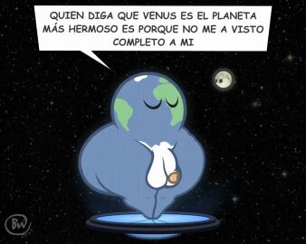 Image: 8560948