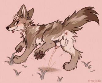 2025 accessory animal_genitalia animal_penis anus artist_name balls blush bodily_fluids canid canine canine_genitalia canine_penis claws collar digital_media_(artwork) feral flower flower_in_hair genital_fluids genitals grass hair hair_accessory hiked_leg male male_peeing mammal pawpads paws peeing penis plant raised_leg raised_tail sheath snackhorse solo tail text tongue tongue_out urine urine_stream