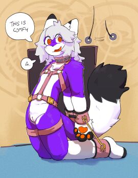 anthro arched_back black_body black_fur bound buckle canid canine coin_on_a_string collar cuff_(restraint) cuffed_ankles cuffed_wrists cuntboy digital_fox fennec_fox fox fur genitals gold_buckles gold_rings hair hands_behind_back harness harness_only hi_res hypnosis intersex kneeling long_hair mammal martindosent mind_control multicolored_tail orange_eyes orange_mouth orange_paws orange_tongue purple_body purple_fur pussy restraints ring silver_hair simple_background solo speech_bubble spinny_eyes tail tongue true_fox white_body white_fur