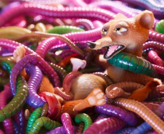 1boy 3_toes 3d anal anal_prolapse anal_sex animal_genitalia animal_penis anthro anus balls bondage bound digital_media_(artwork) disney duke_weaselton erection feet feral fur genitals half-closed_eyes hi_res lying male male_penetrated mammal multiple_penetration mustelid musteline narrowed_eyes nude on_back open_mouth pawpads penetration penis prolapse prolapse_penetration restrained scimunk sex spread_legs spreading stretched_anus teeth toes true_musteline weasel worm zootopia